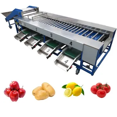 Clasificadora de frutas y verduras