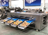 Máquina de clasificación de papa